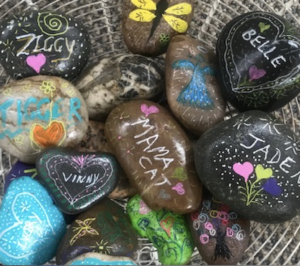 How To Make Painted Pet Rocks - Living Well Mom