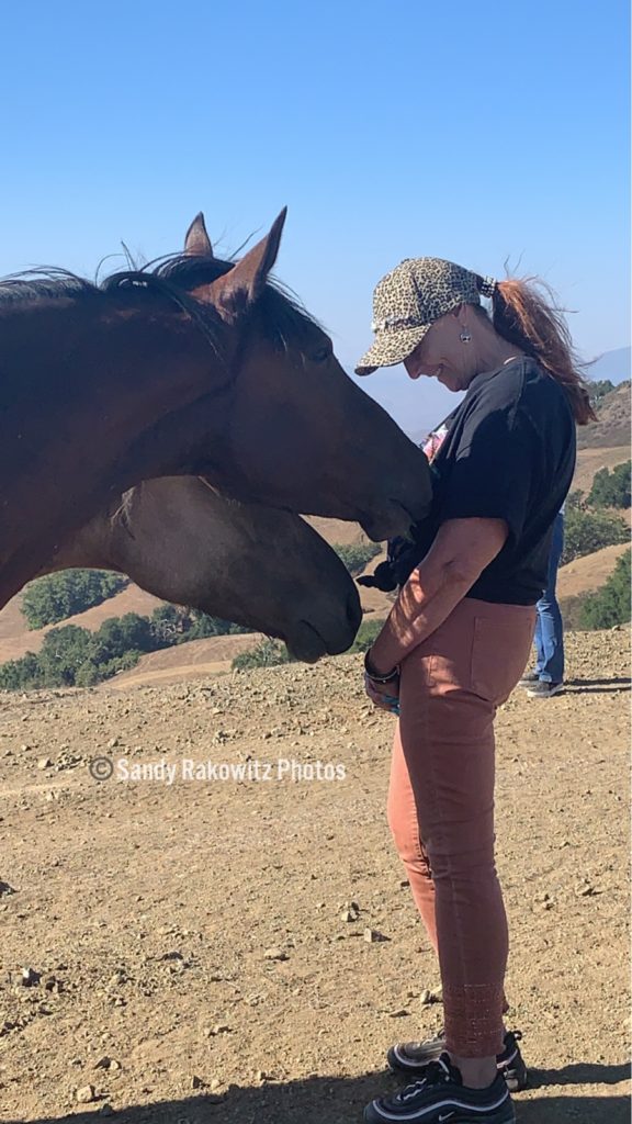 Marlene with Mustangs at RTF