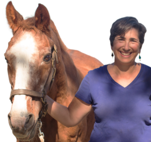 Sandy Rakowitz with her wise, elder horse