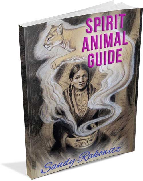 Spirit animal Guide